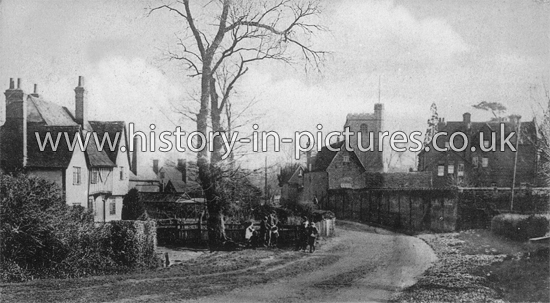 Wiseman's and Village, Gt Waltham, Essex. c.1905